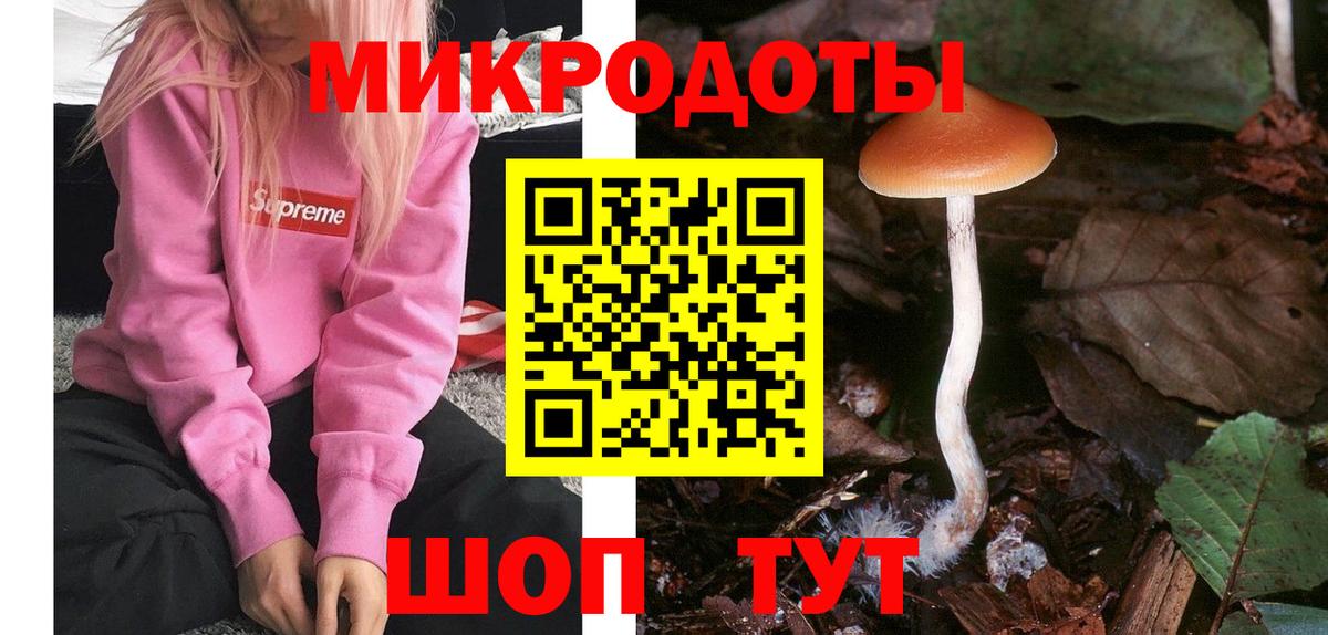 Галлюциногенные грибы Cubensis  Вход с VPN  Псилоцибиновые грибы GOLDEN TEACHER  Киселёвск 