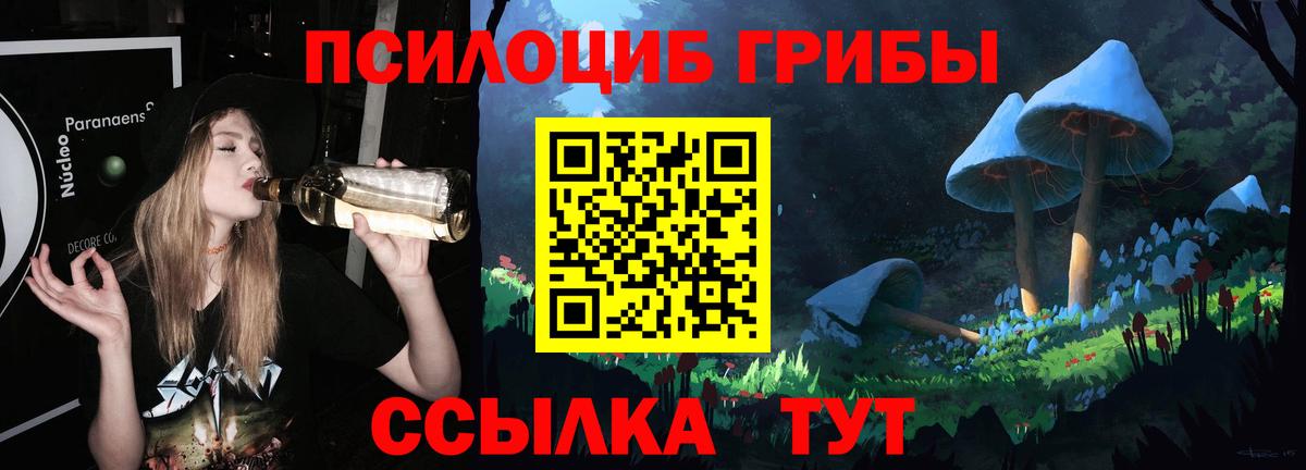 Псилоцибиновые грибы Cubensis Киселёвск